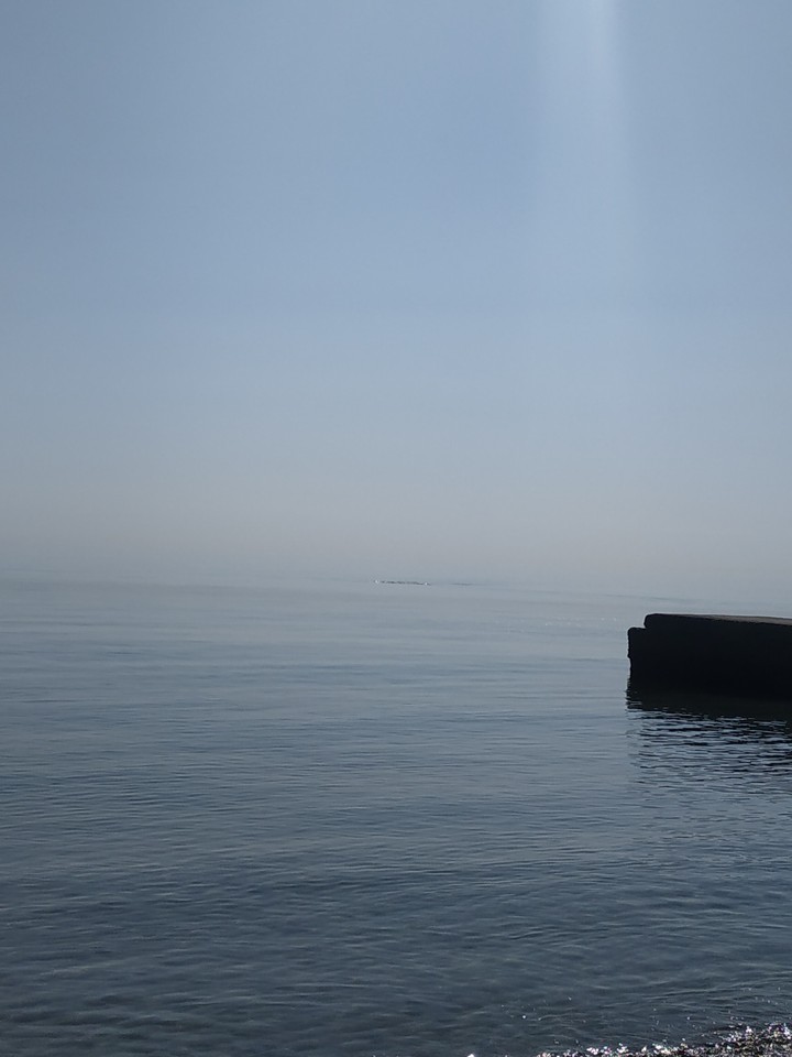 amazing sea