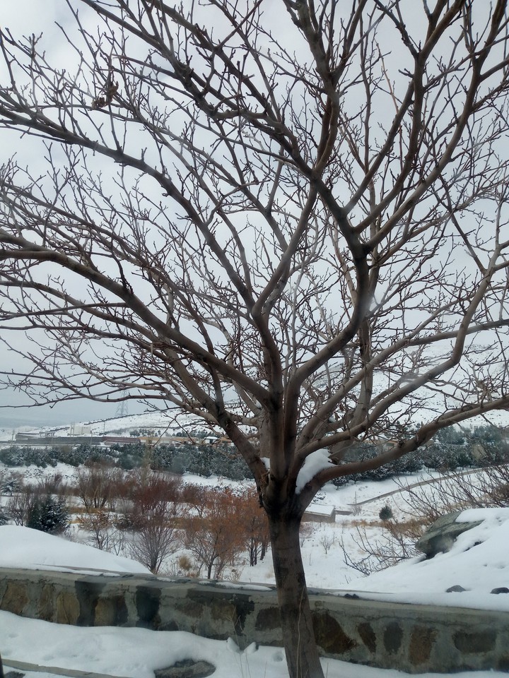 winter in zanjan