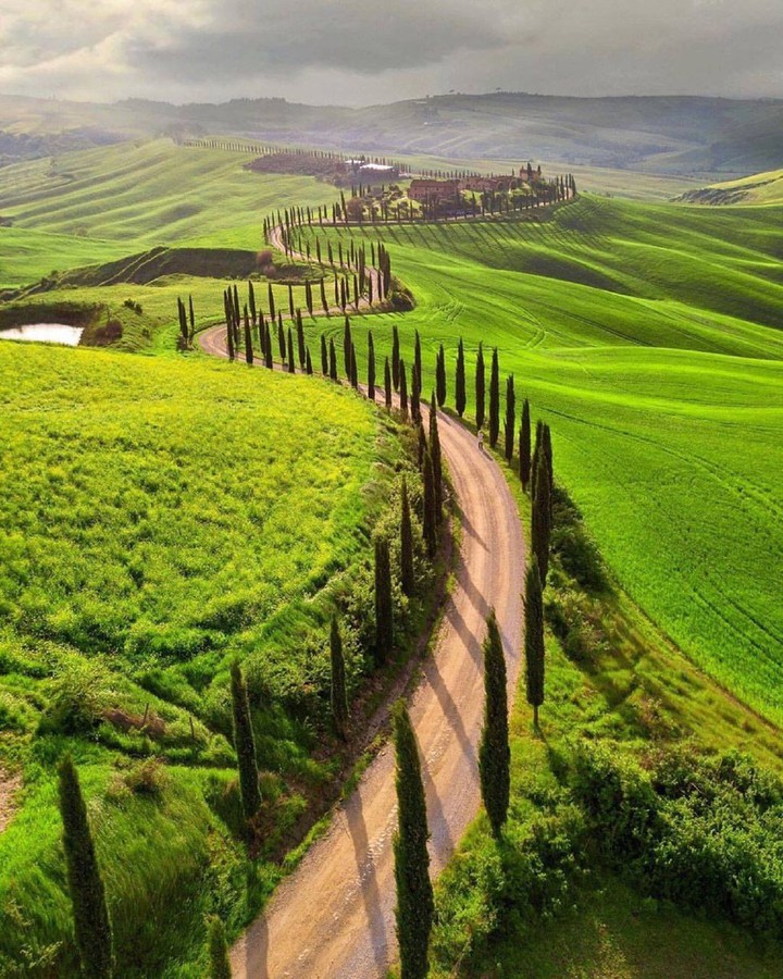 Nature