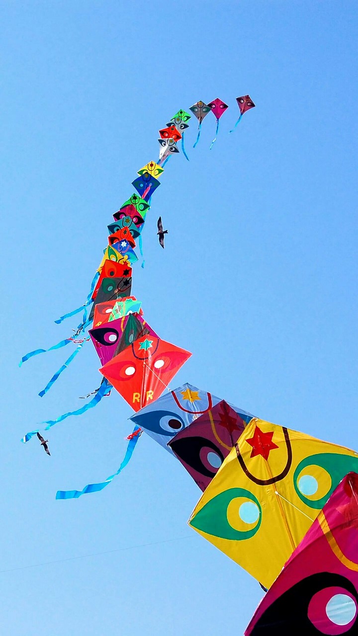 kite