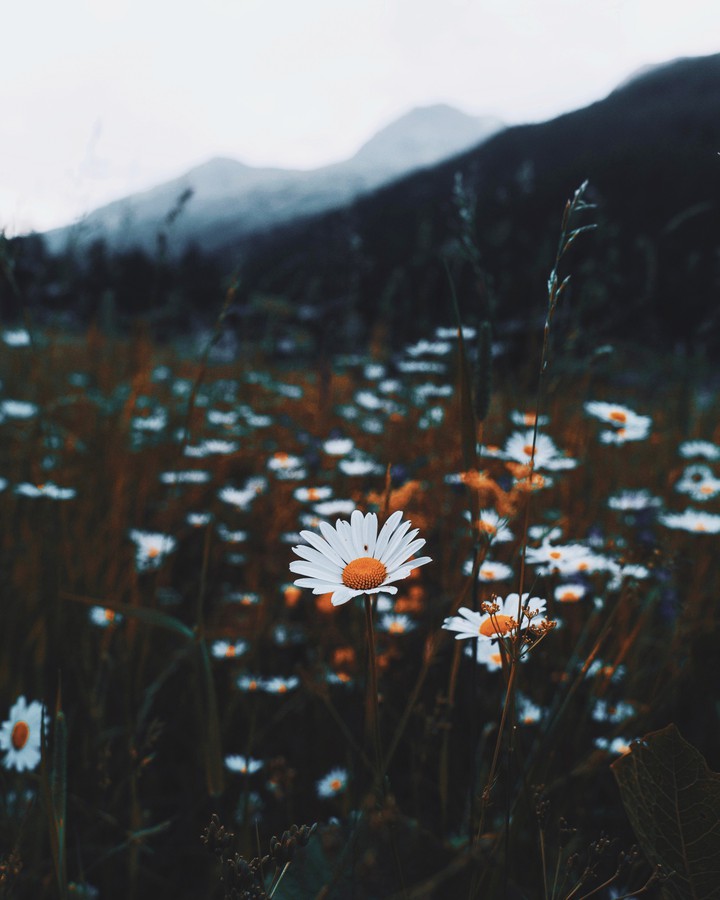 peace