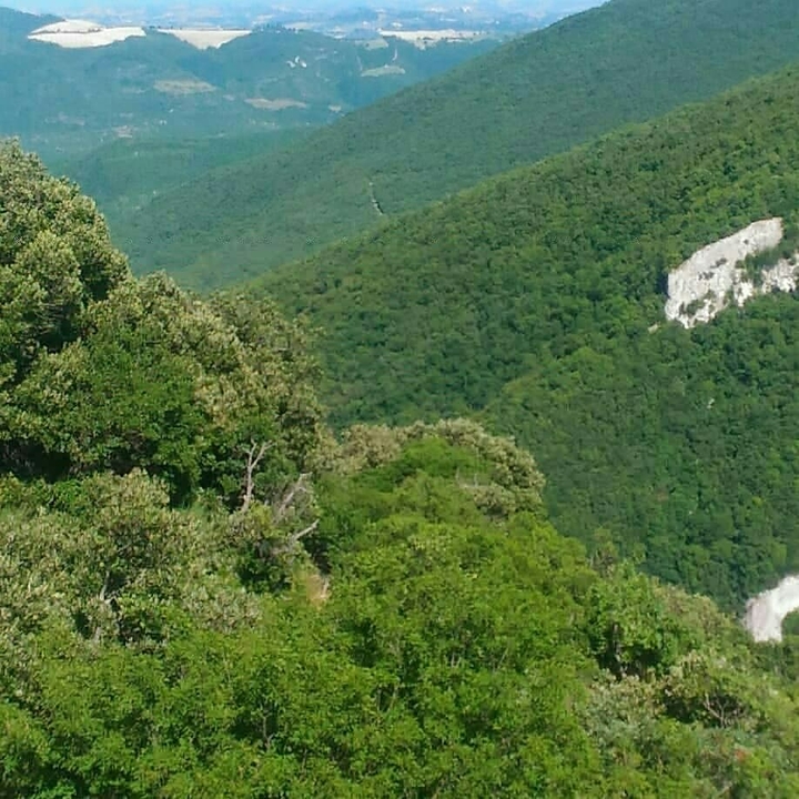 Gola del furlo