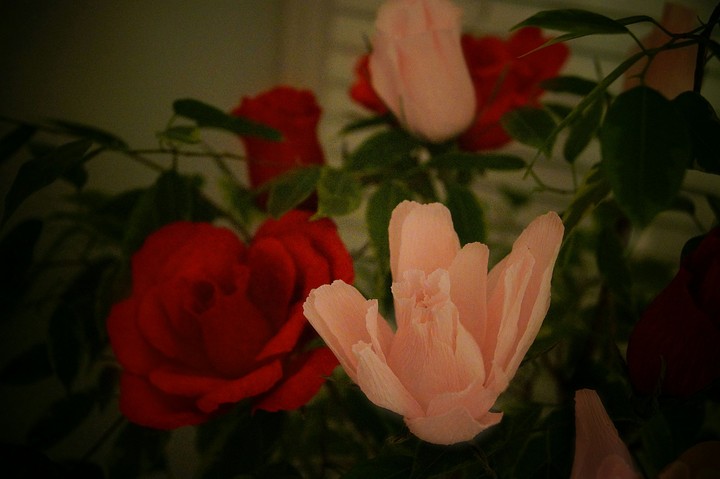 Pink & Red