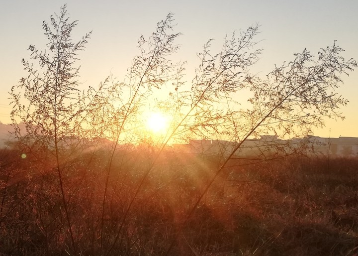 sun rise