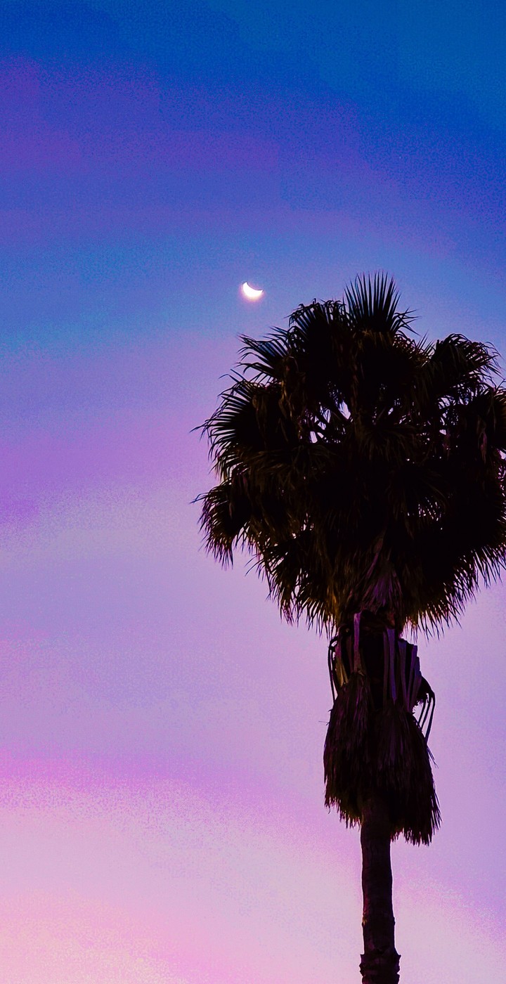 Somekind of twilight...
