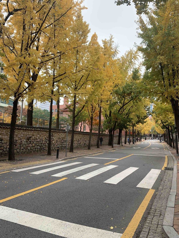 Autumn