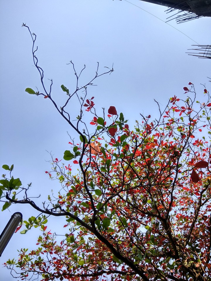 When fall arrives.