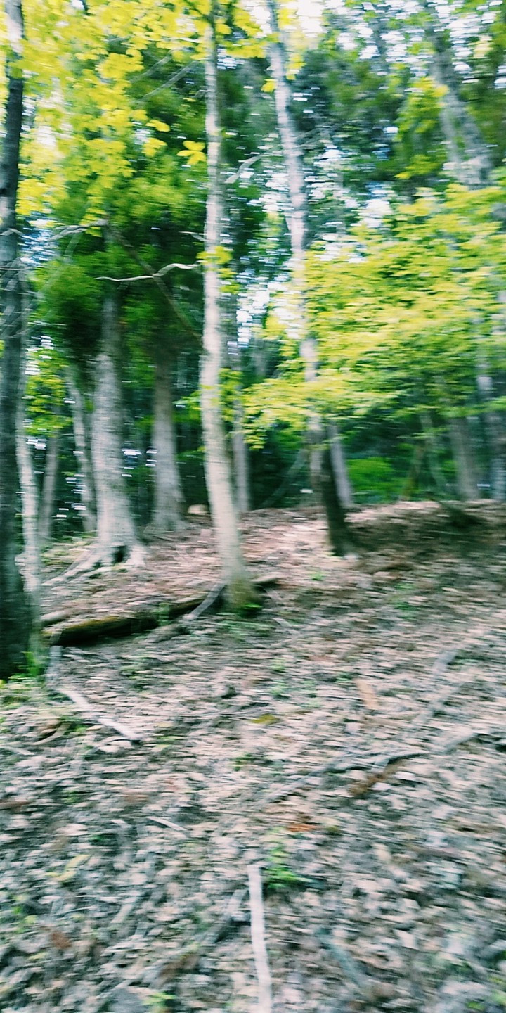 自然