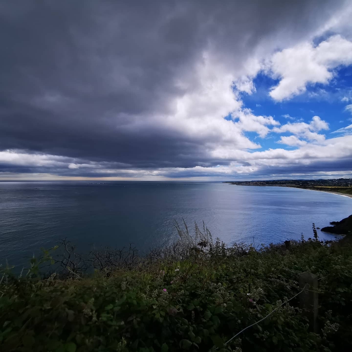 Bray