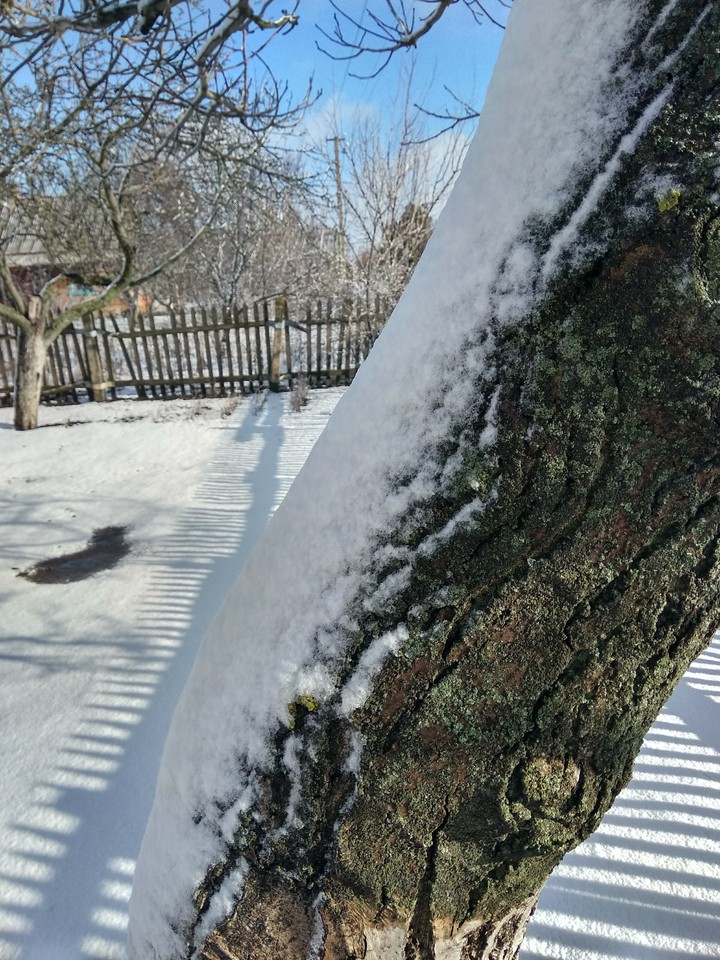 сказка