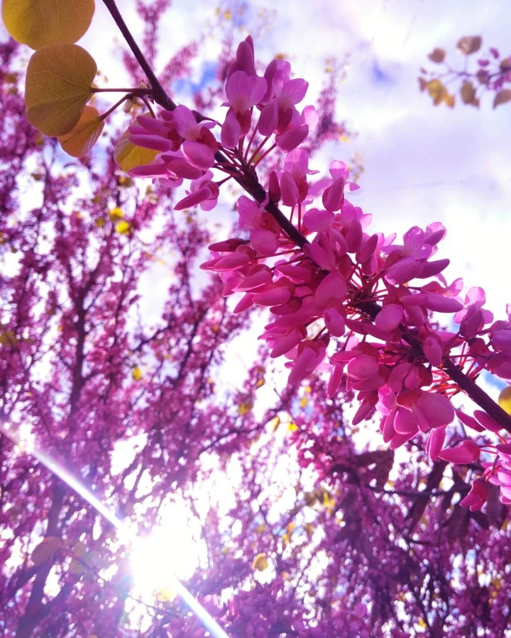 Spring.