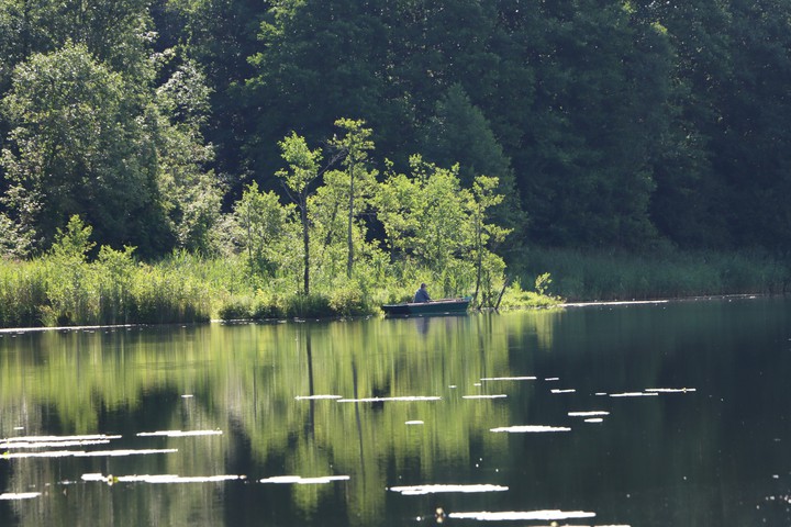 fishing