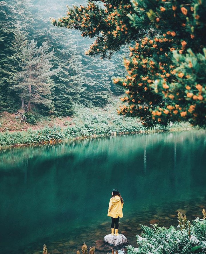 on the bank of river.