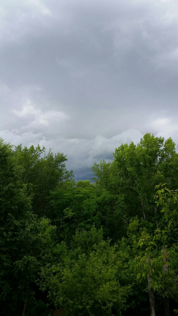 Clouds