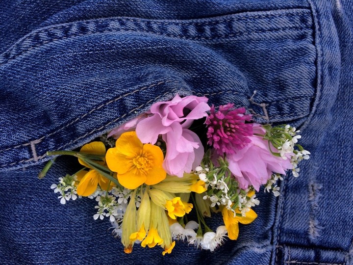 flores