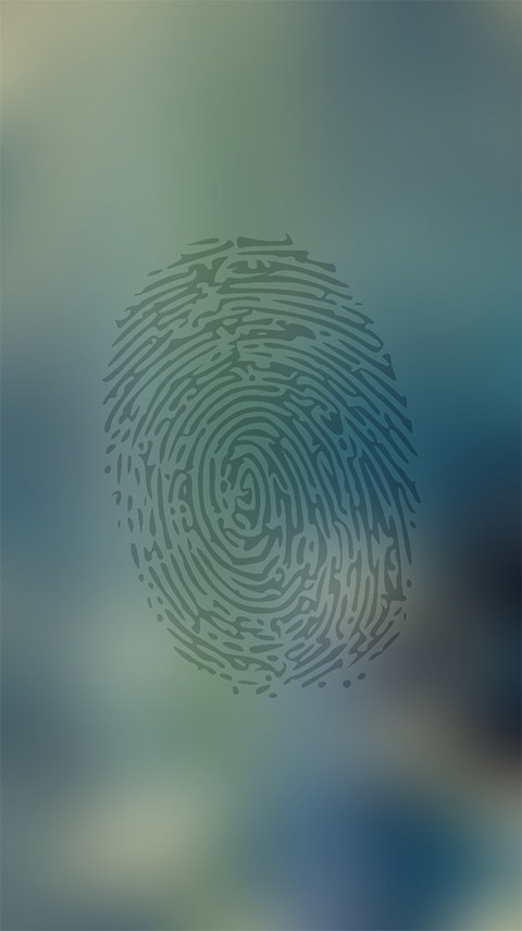 finger print