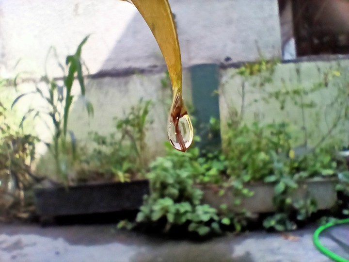 water drop