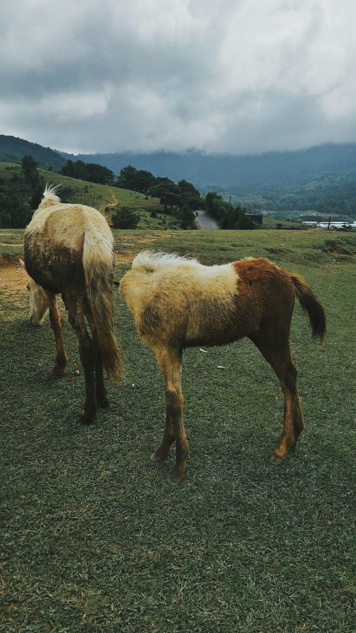 Langbiang
