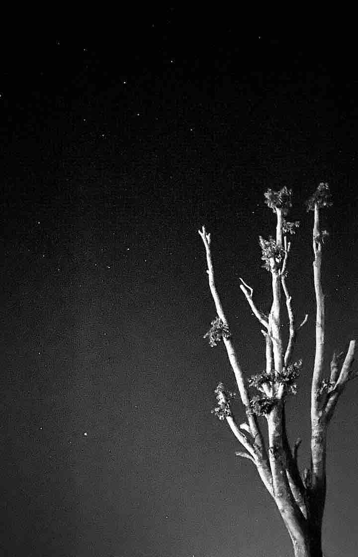 Go where the stars take to you??