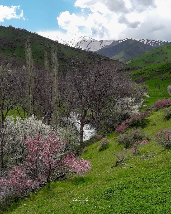 Kordestan Nature