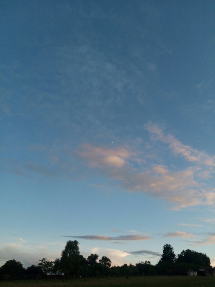Sky