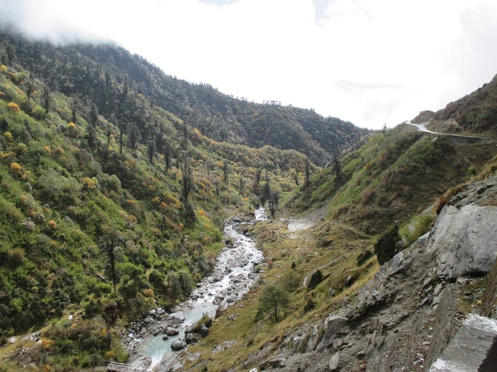A Nature view
