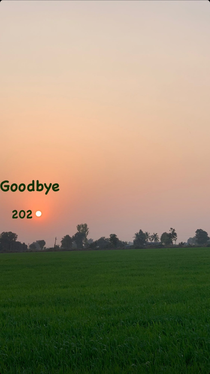 Goodbye 2020
