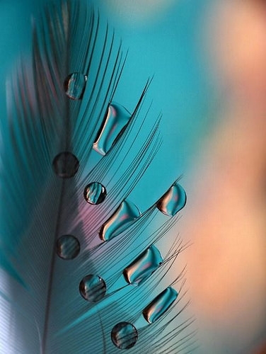 Drops