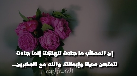#رحيق_الورد