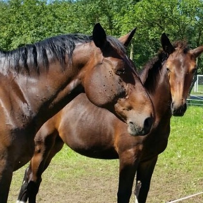 Mother with her child.