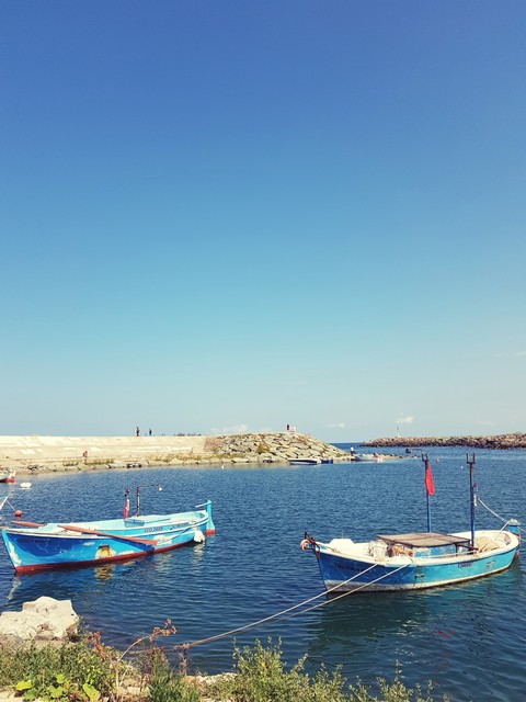 Tekne