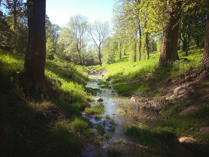 nature