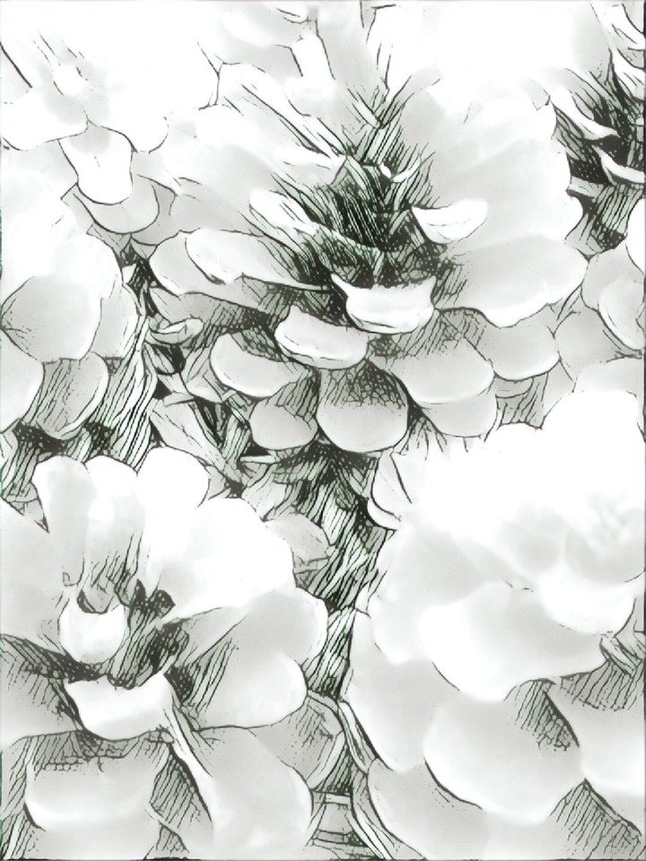 CONE
