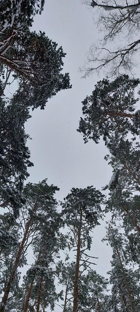 world, grey Hintergrundbilder
