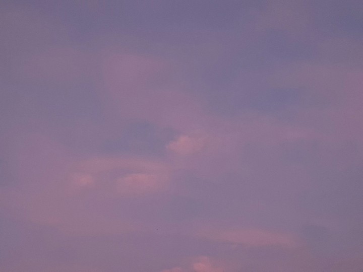 Pink clous