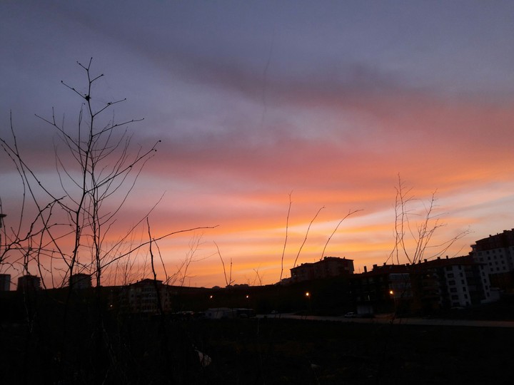 Sky