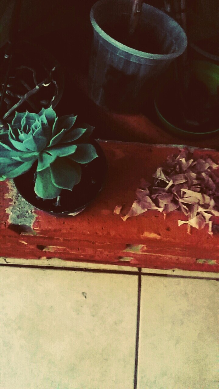 Nature!