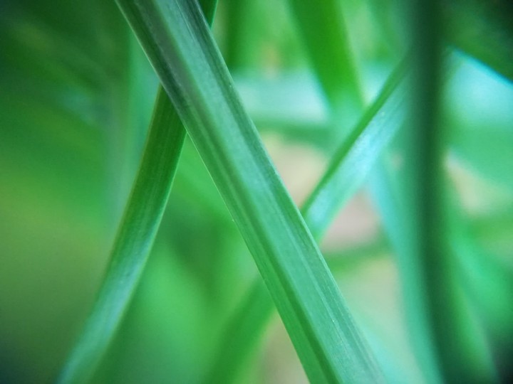 All in green