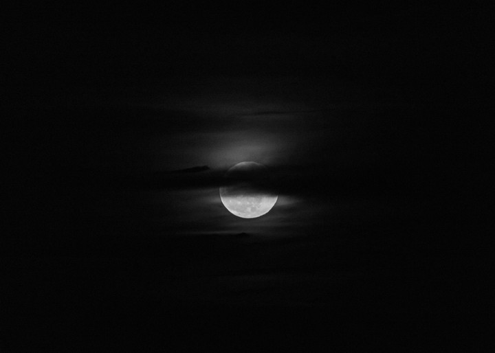 luna gris