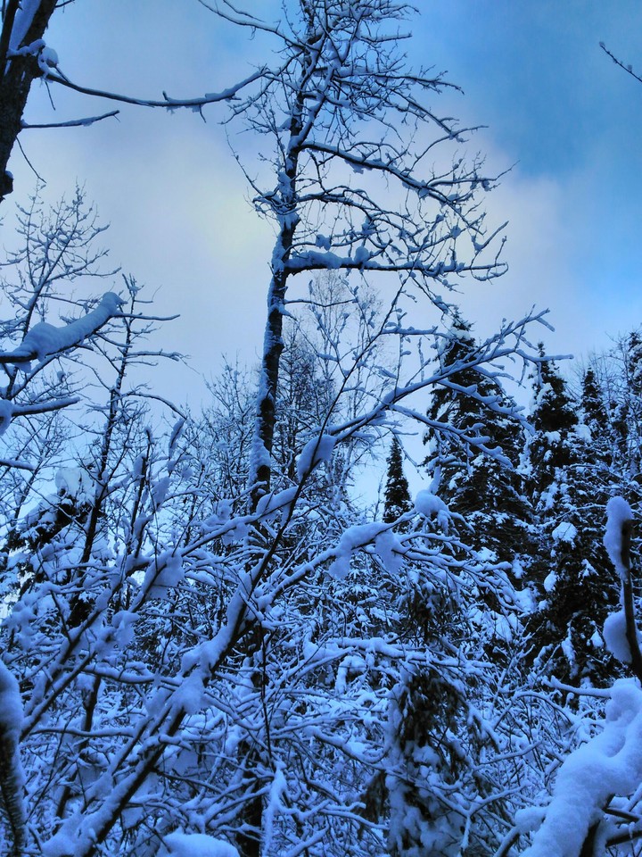 Abother Winter Day