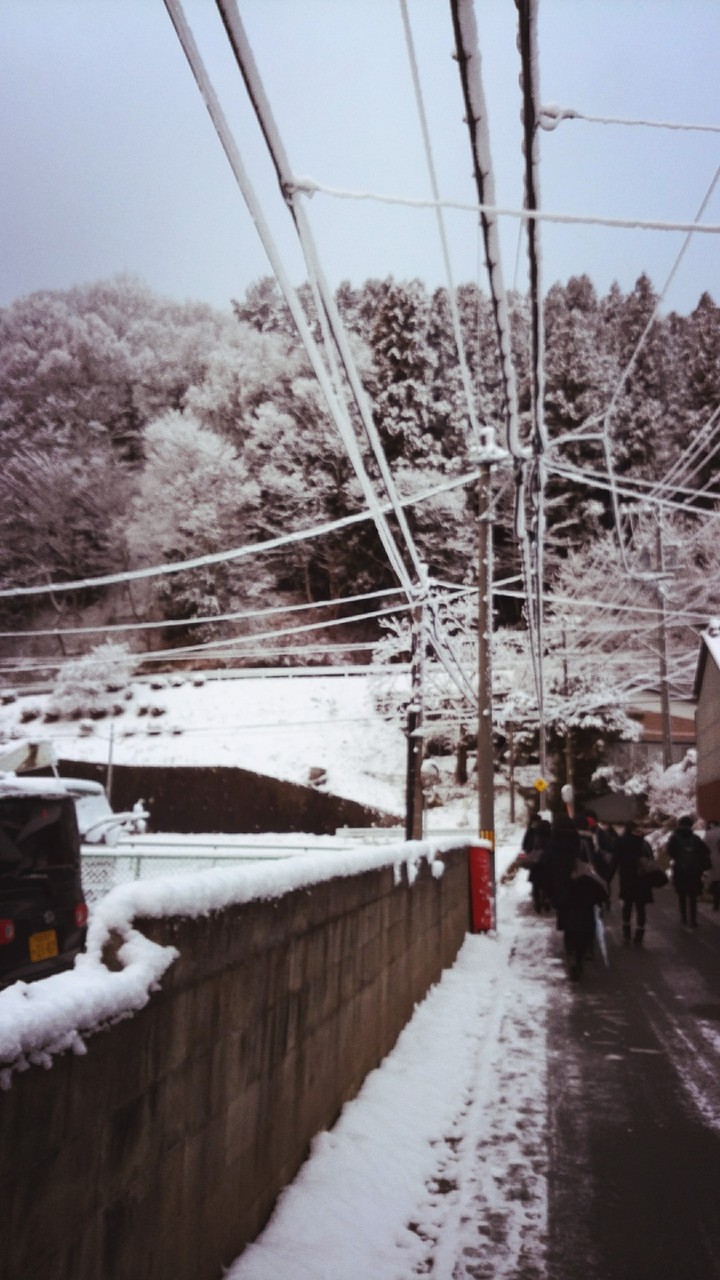 雪景色