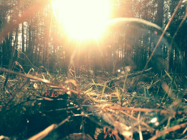 Soap bubble