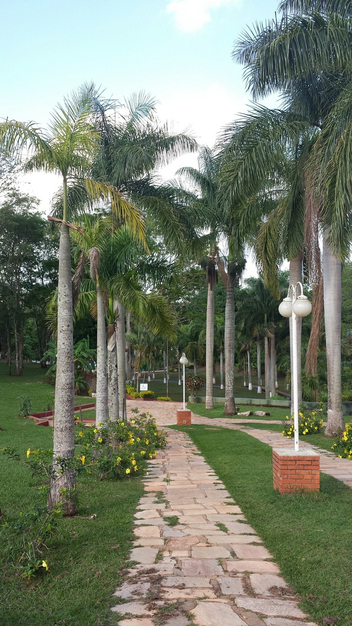 Uberlândia MG