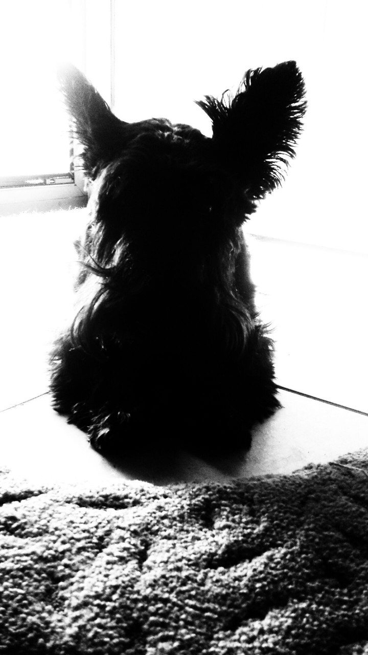 Maddie