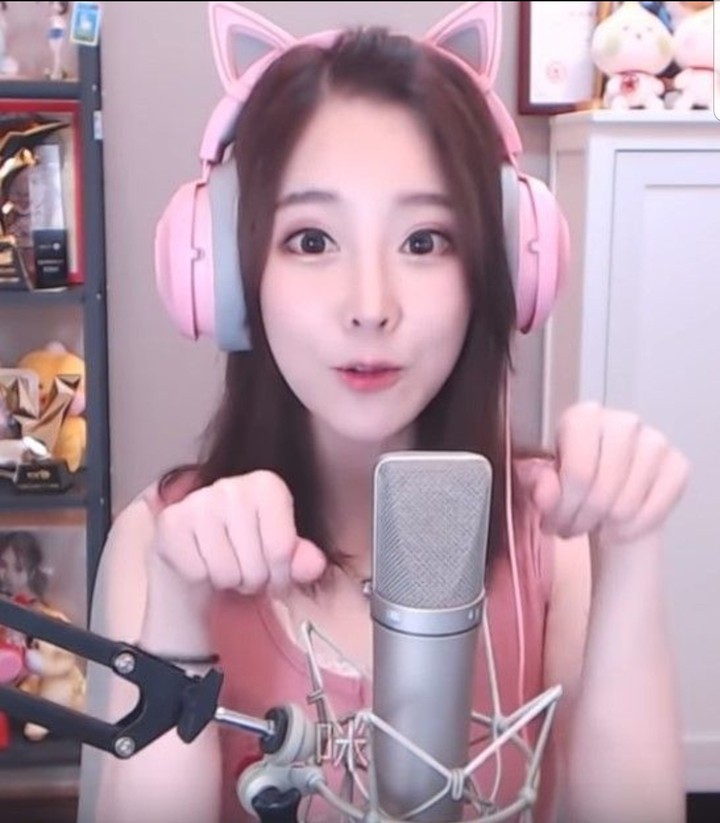 고양이 펑티모