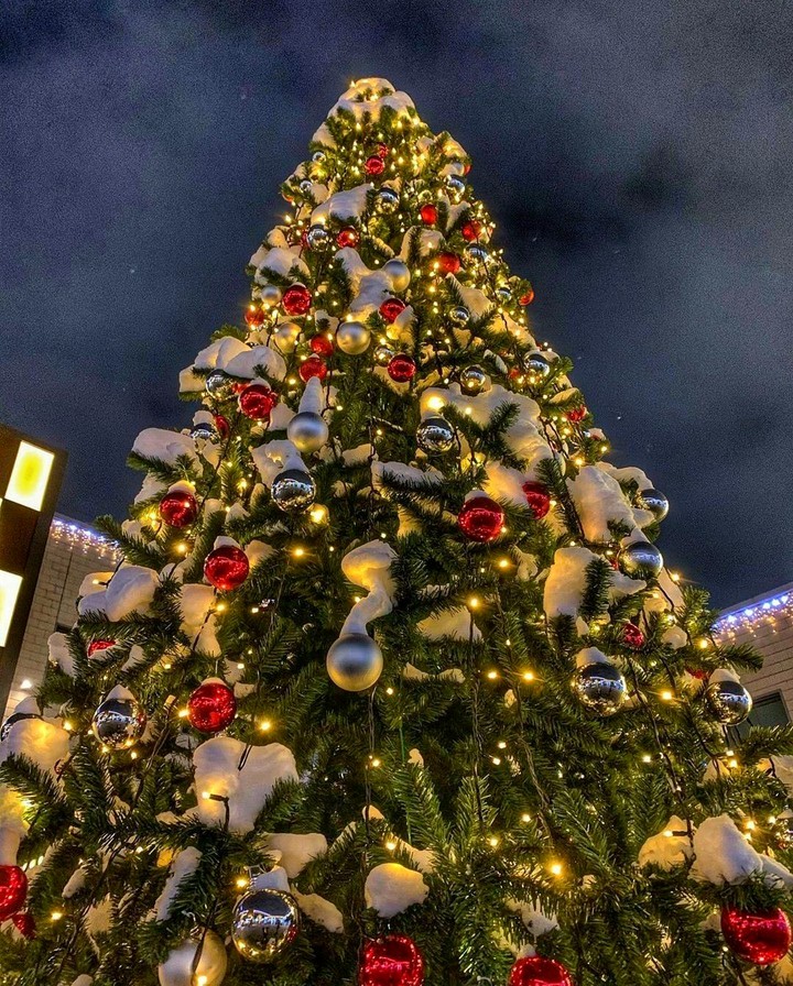 Merry Xmas