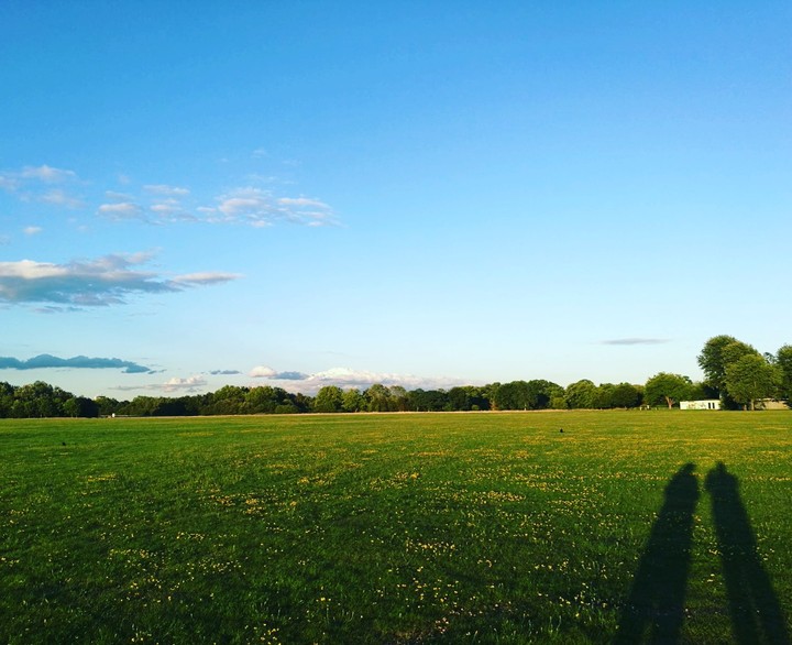 Couple in the Park