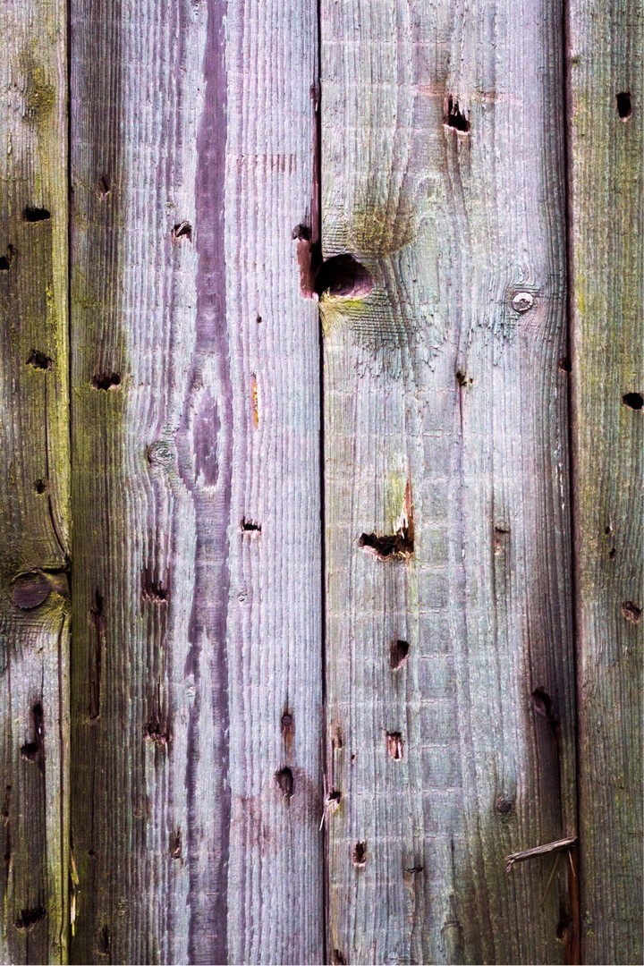 Herz im Holz