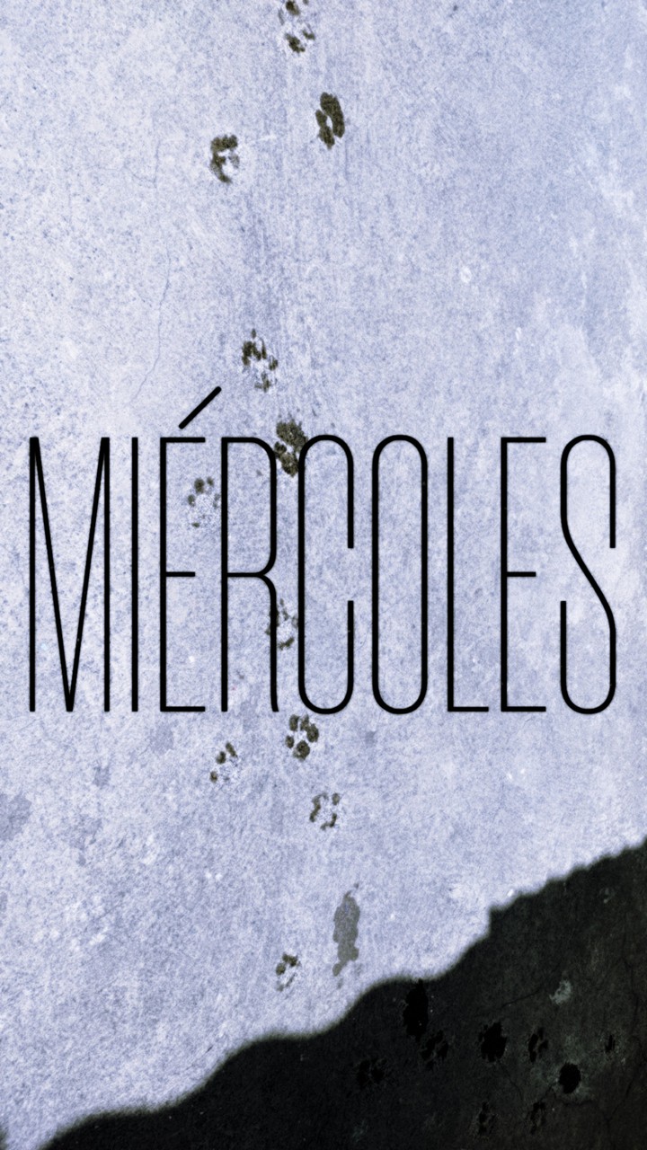 Huellitas / Miércoles