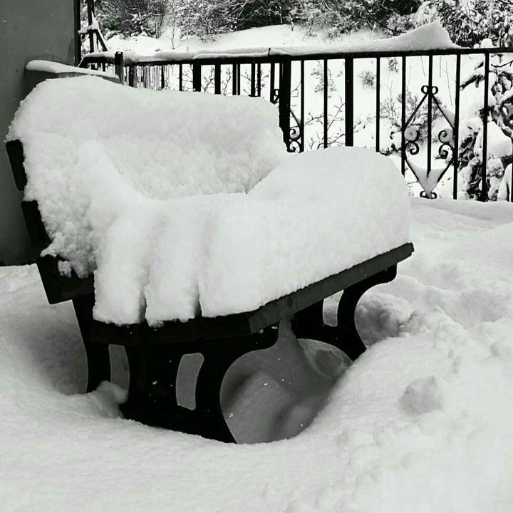 bench and snow